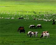 海北州今天天气